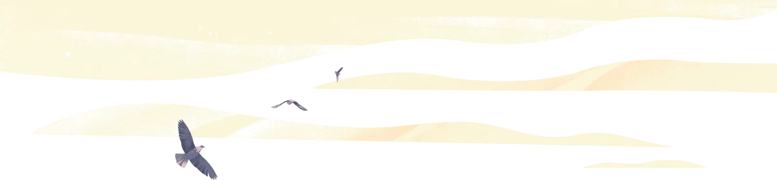 魔兽新手盒子 新手全能包 攻略